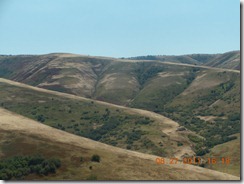 DSCN7048