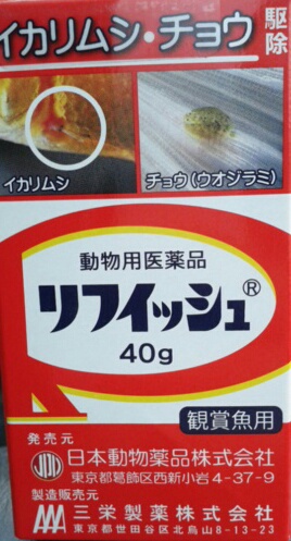 金魚エラ病になる リヒィッシュの薬浴を試すの巻 疑問体験日記