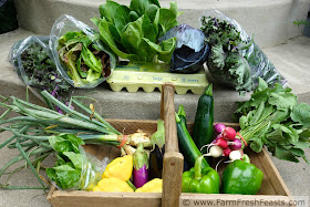 a typical early summer farm share box in the midwest