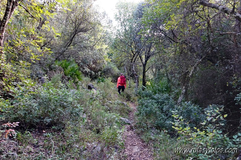 Benamahoma - Cruz de la Atalaya - Torre Musulmana - El Descansadero - Molino del Susto