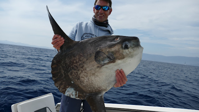 Poisson lune