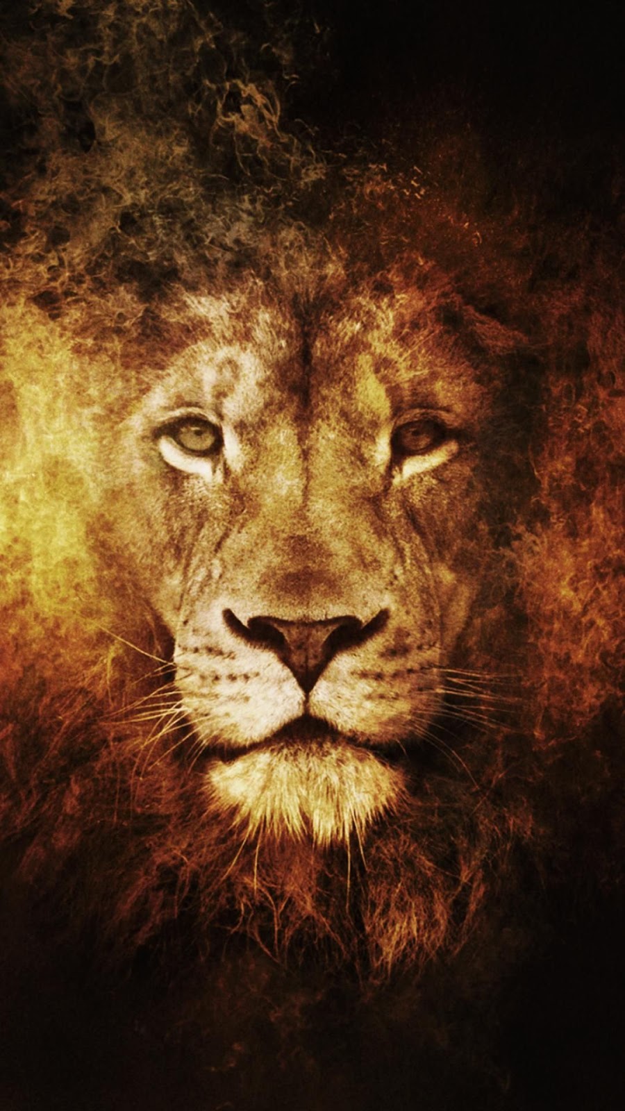 Best Lion Wallpaper High Quality |HD Desktop, Iphone | Animals