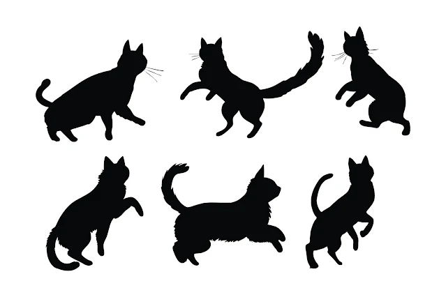 Feline in different positions silhouette free download