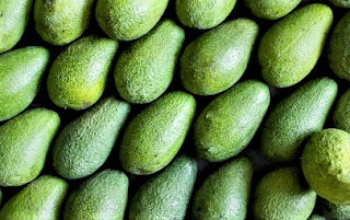 Eating avocado seeds can help reduce your risk of developing osteoporosis.