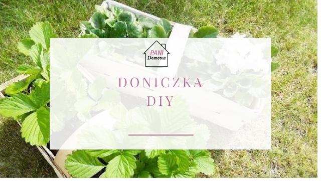 doniczka diy, pomysł na doniczki ogrodowe, doniczka ogrodowa diy, jak zrobić doniczkę, pomył na tanią doniczkę.