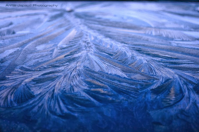 Blue ice photography by Annie Japaud, frozen, ice, cold, photography, macro, blue, 
