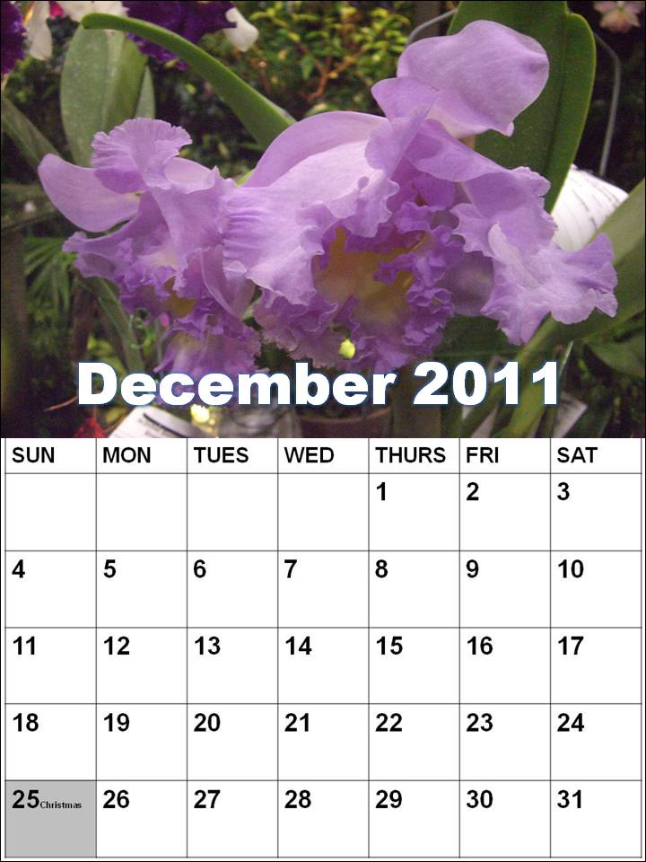 may calendar 2011 australia. may calendar 2011 australia.