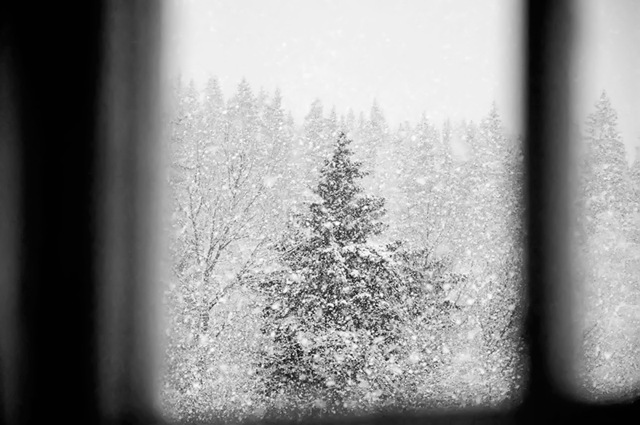 DSC_0004