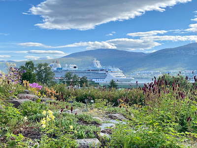 Island Princess seen from the Arctic Alpine Botanical Gardens in Tromso, Norway