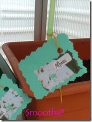 0Nova_Fotografia0418