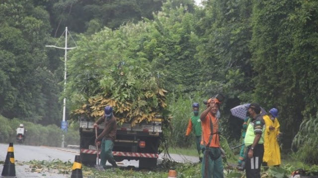 Defesa Civil registra mais de 80 ocorrências em razão da chuva nesta quarta-feira