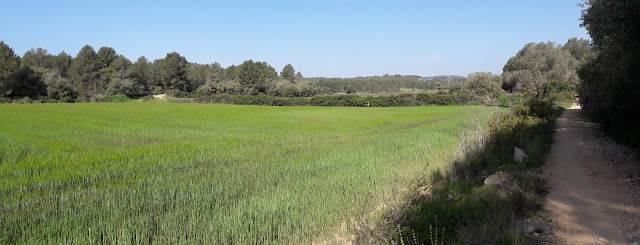 La Pobla de Montornès a Tarragona GR-92, camí entre la pedrera de El Mèdol i el Mas de El Mèdol, al terme municipal de Tarragona