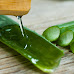 Aloe Vera Market Report: Top Companies, Trends and Future Prospects Details for Business Development 2022-2027