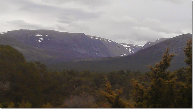 IMAG0089