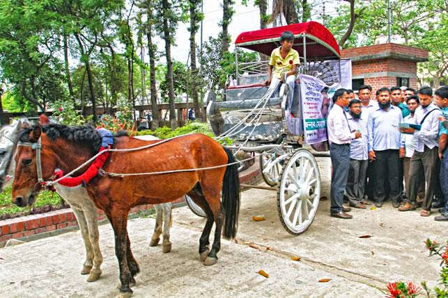 যমজ ভাই নিয়ে ধন্দে, ঘোড়ার গাড়ি এনে জরিমানা