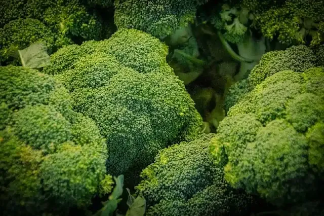 La revolucionaria conexión entre el azúcar y el brócoli: Cómo el azúcar puede potenciar los beneficios saludables del brócoli según investigadores.