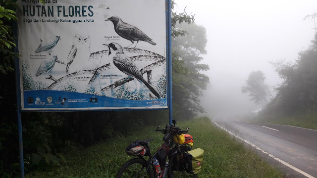 bike to pulau