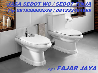 jasa sedot wc driyorejo gresik telp 081938882526