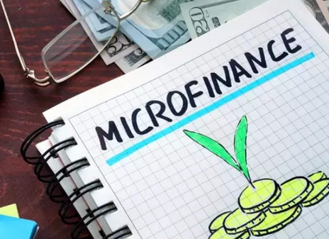 Microfinance amartha