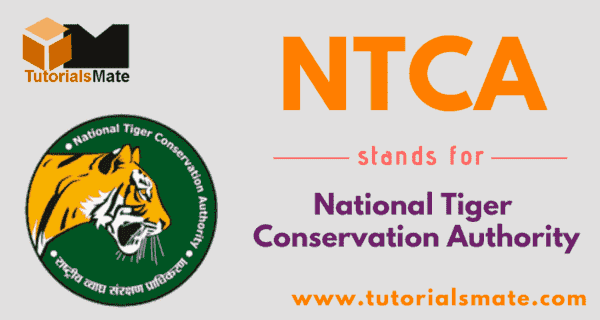 NTCA Full Form