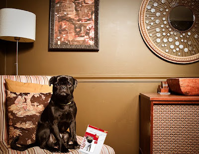 Tom Ford's 22 Essentials, Presented By Pugs Seen On www.coolpicturegallery.us