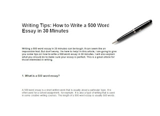  500 word essay