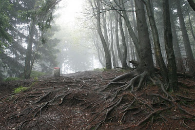 gunung lawu