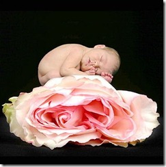 baby5