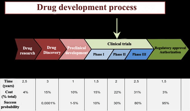 Phases of drug development