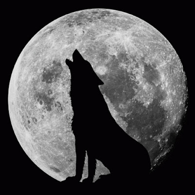 A wolf howling silhouetted by the moon.