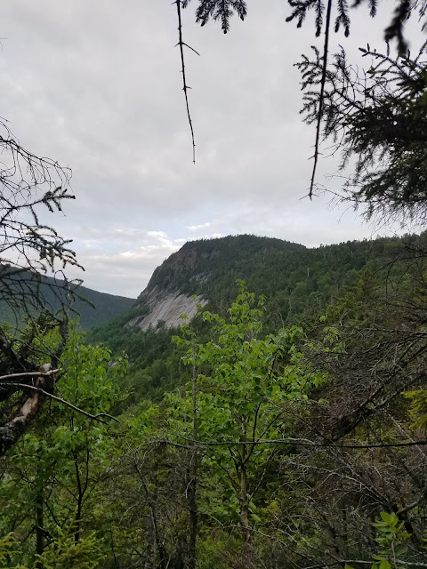 A successful bushwhack to a back-country crag known as The Captain, deeply nestled between South Hancock, Mount Carrigain, and Sawyer River. 