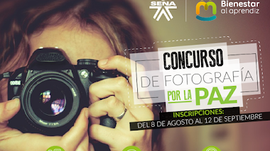 Concurso