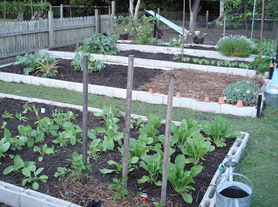 Flowers and organic vegetables