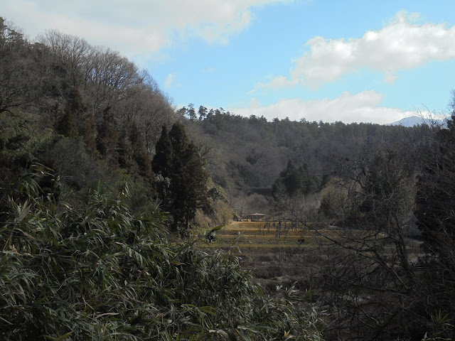 別所川渓流植物園を望む