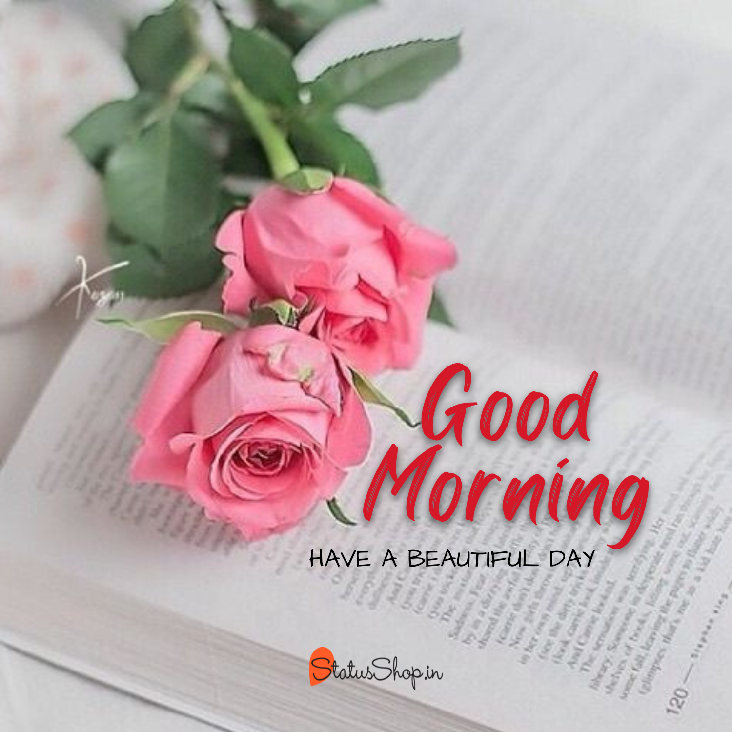 500+ Beautiful Good Morning Images, Pictures, & Morning Wishes 2023