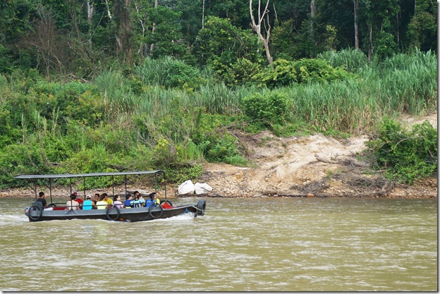 Taman negara7