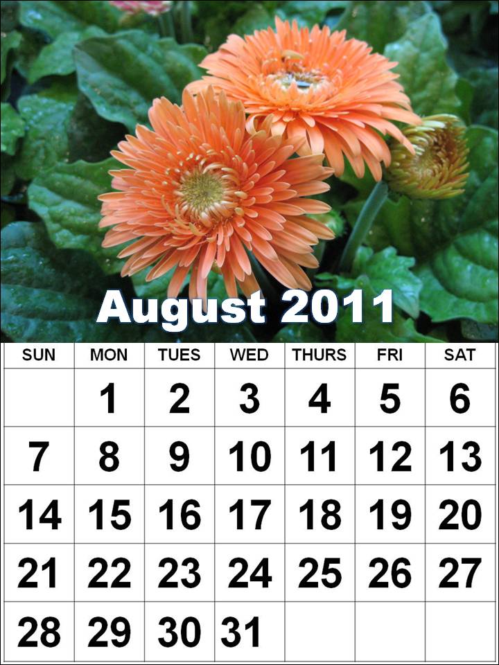 august calendars 2011. august calendar 2011 printable