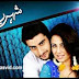 Shehr E Yaran drama Episode 26 - 18th November 2013 on Ary Digital