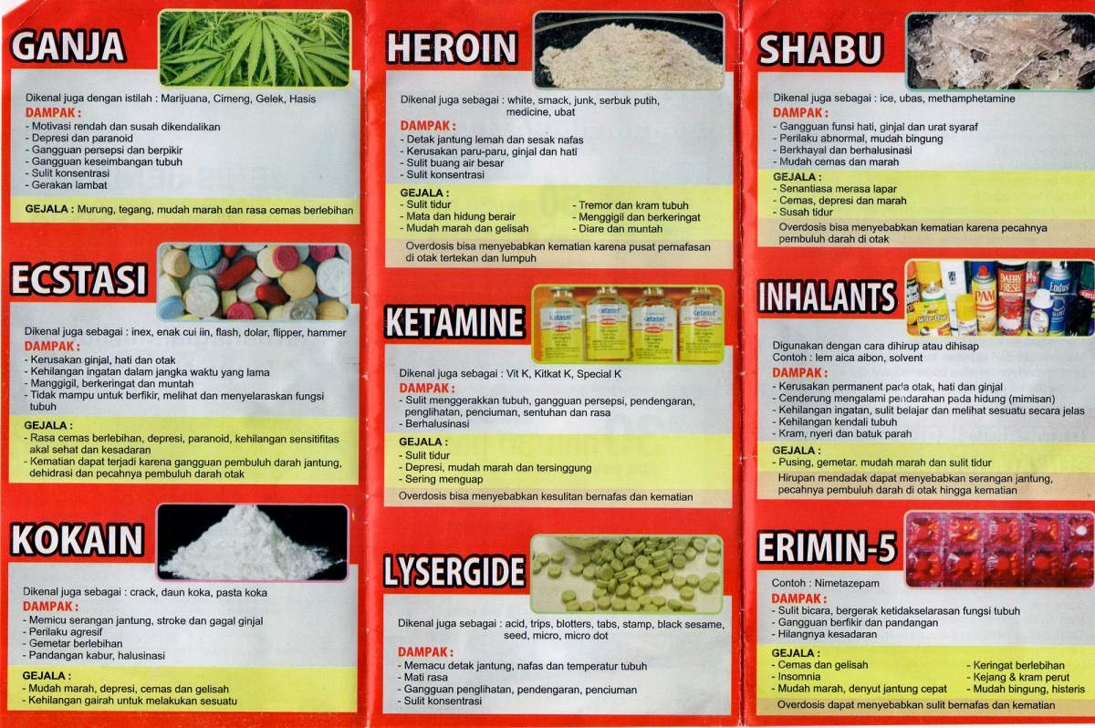 Bahaya Narkoba  dan Rokok Narkoba  Rokok