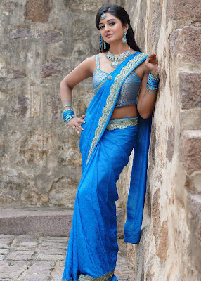 actress vimala raman in saree photos+123actressphotosgallery.com