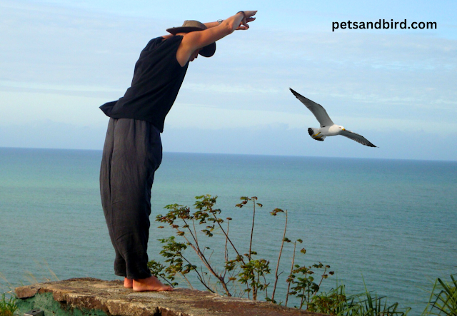  The Amazing Bond Between Birds and Humans