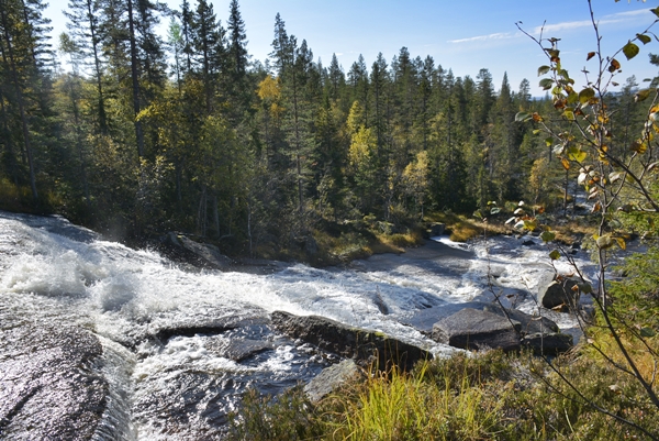 kollsjøen urdevasselva