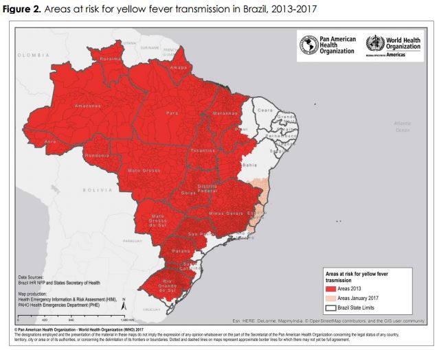 OMS - Brasil  : risco de transmissão urbana da febre amarela não pode ser descartado.
