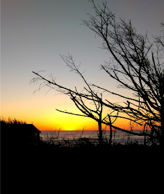 Melissa Kaylene // Photos from  Lincoln City, Oregon