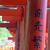 Nezu-jinja: se son azalee fioriranno