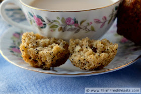 These bright sweet muffins have a snappy crunch when you bite into them. The orange juice and zest pairs nicely with poppy seeds, and makes a sweet addition to a morning tea break, knitting club, or after school snack.