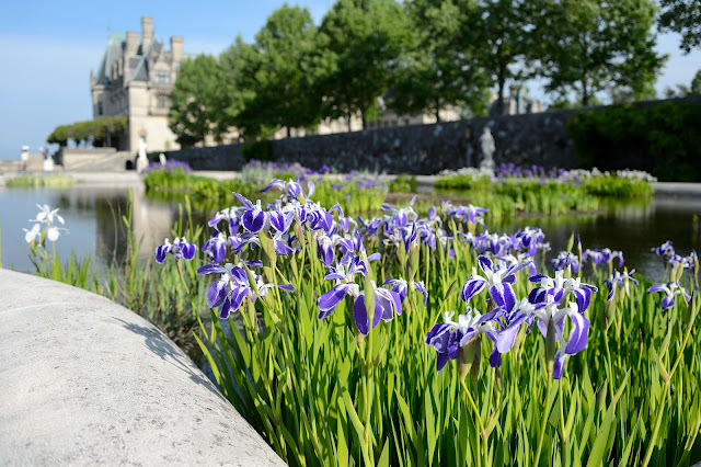 Biltmore Blooms