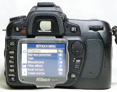 Nikon D80, back