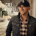 Download Hope You Get Lonely Tonight - Cole Swindell mp3