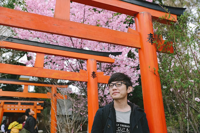 日本京都平野神社櫻花